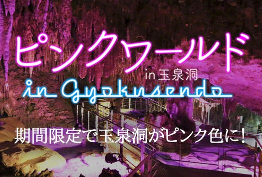 「ピンクワールド2025 in 玉泉洞」2月1日（土）～2月16日（日）